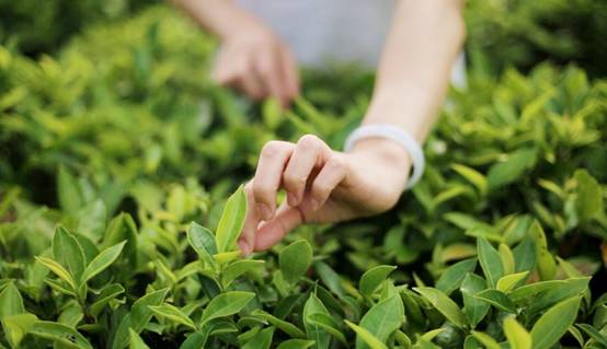 壹城一家，一座城一盞燈一個家在守候你