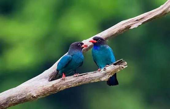 壹城一家，一座城一盞燈一個家在守候你