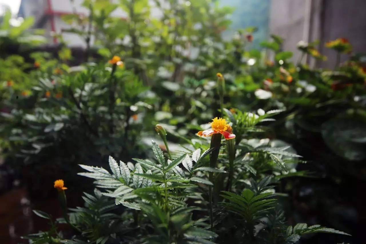 壹城一家，一座城一盞燈一個家在守候你