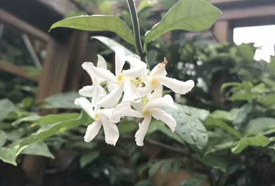 壹城一家，一座城一盞燈一個家在守候你