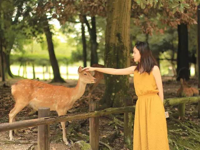 鳴林民宿，穿越千山萬水魂牽夢索的只有家鄉(xiāng)
