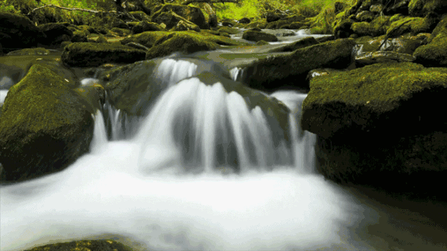 鳴林民宿，穿越千山萬(wàn)水魂?duì)繅?mèng)索的只有家鄉(xiāng)