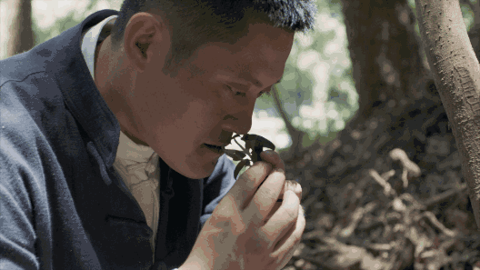 養(yǎng)智香鋪，沉香的功效與作用