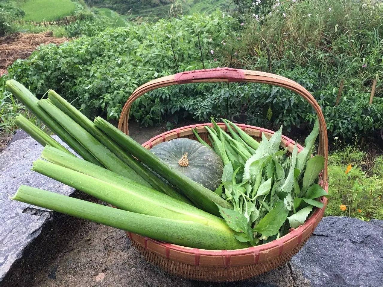 如隱·小佐居，半入溪水半入云