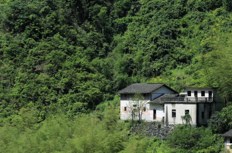 黃山云上民宿，看云卷云舒留住淳樸田園生活