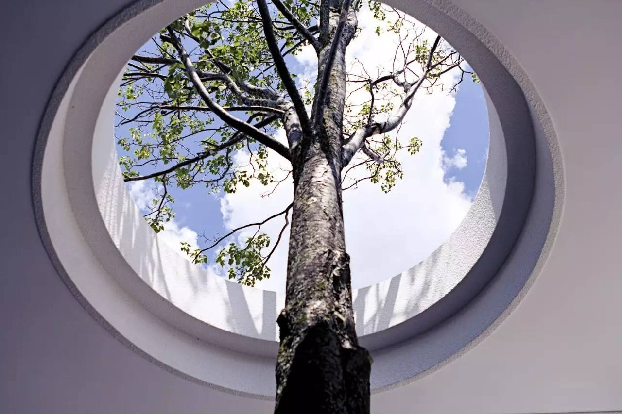 雪山莊園，只是天堂下降了一點點