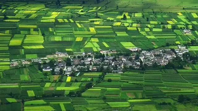 雪山莊園，只是天堂下降了一點點