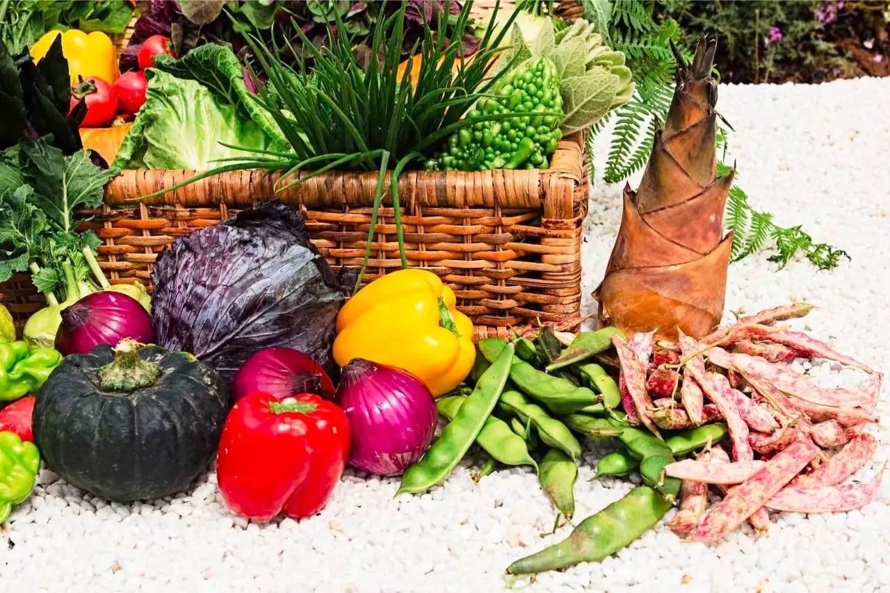 雪山莊園，只是天堂下降了一點點