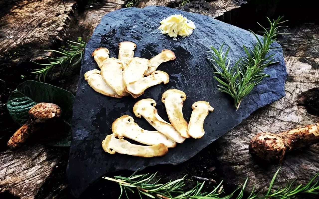 雪山莊園，只是天堂下降了一點(diǎn)點(diǎn)