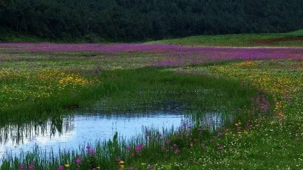 雪山莊園，只是天堂下降了一點點