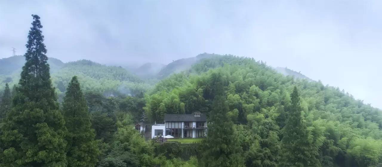 大樂之野·谷舍，擁有一個詩意的世界