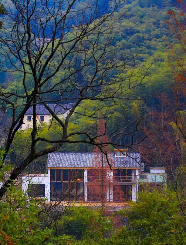 大樂之野·谷舍，擁有一個詩意的世界