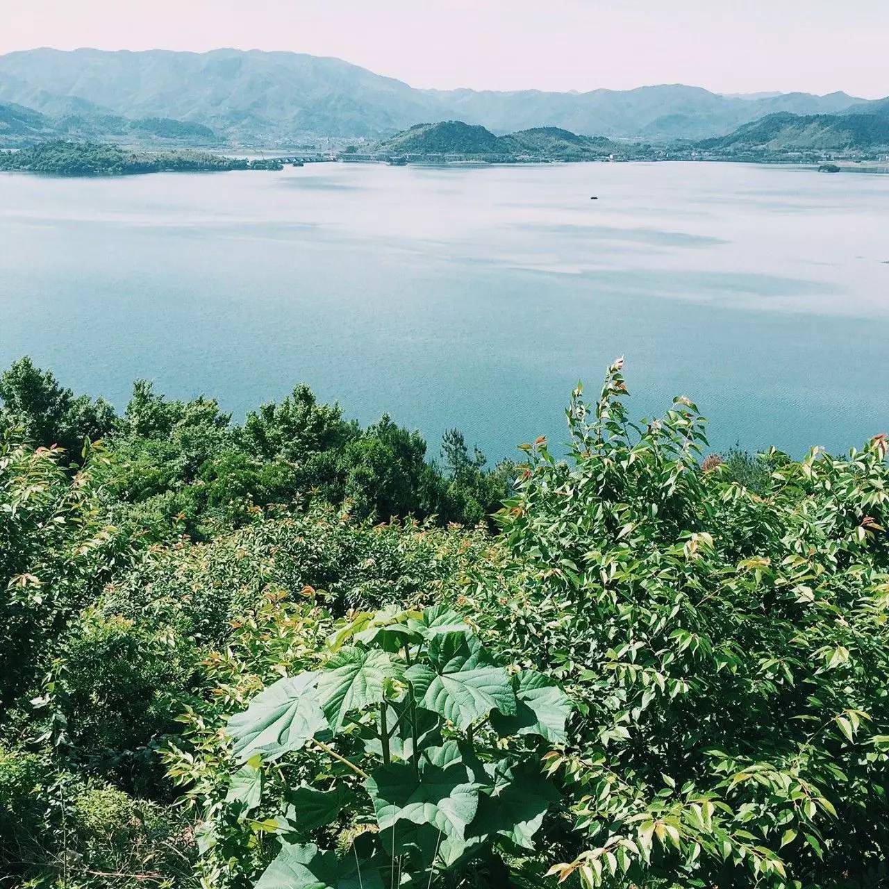 大樂之野·谷舍，擁有一個詩意的世界