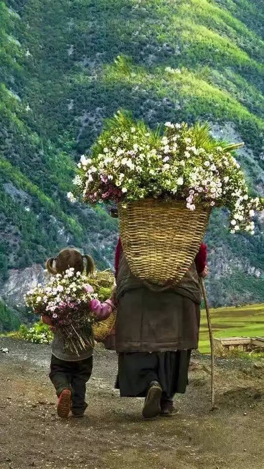 天空之城南杉藝術(shù)酒店，在月光之城尋找探索