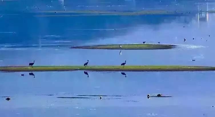 天空之城南杉藝術(shù)酒店，在月光之城尋找探索