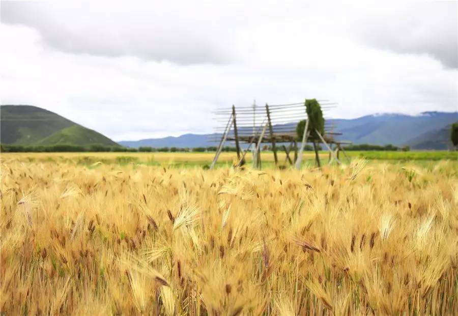 天空之城南杉藝術(shù)酒店，在月光之城尋找探索
