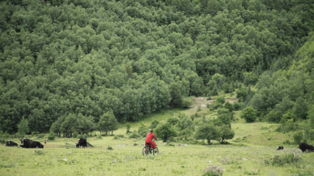 天空之城南杉藝術(shù)酒店，在月光之城尋找探索