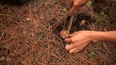 天空之城南杉藝術(shù)酒店，在月光之城尋找探索