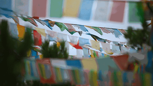 天空之城南杉藝術(shù)酒店，在月光之城尋找探索