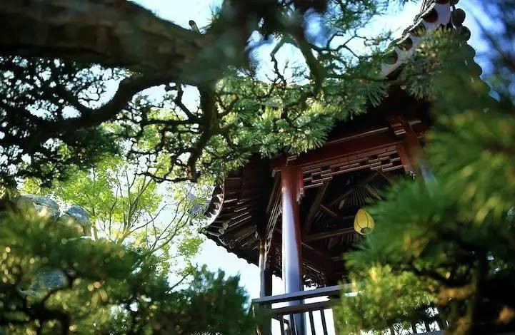 大美江南·蘇洲府，生長在姑蘇古城的園子