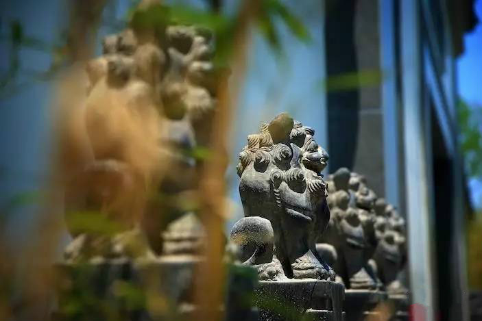 大美江南·蘇洲府，生長在姑蘇古城的園子