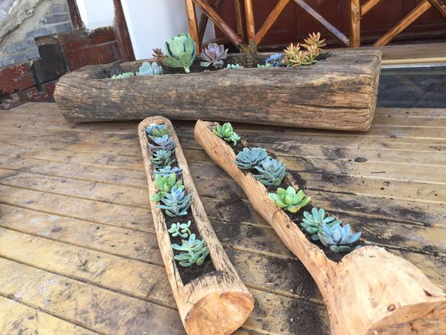 古一私邸，在大理洱海風花雪月演繹痛快人生