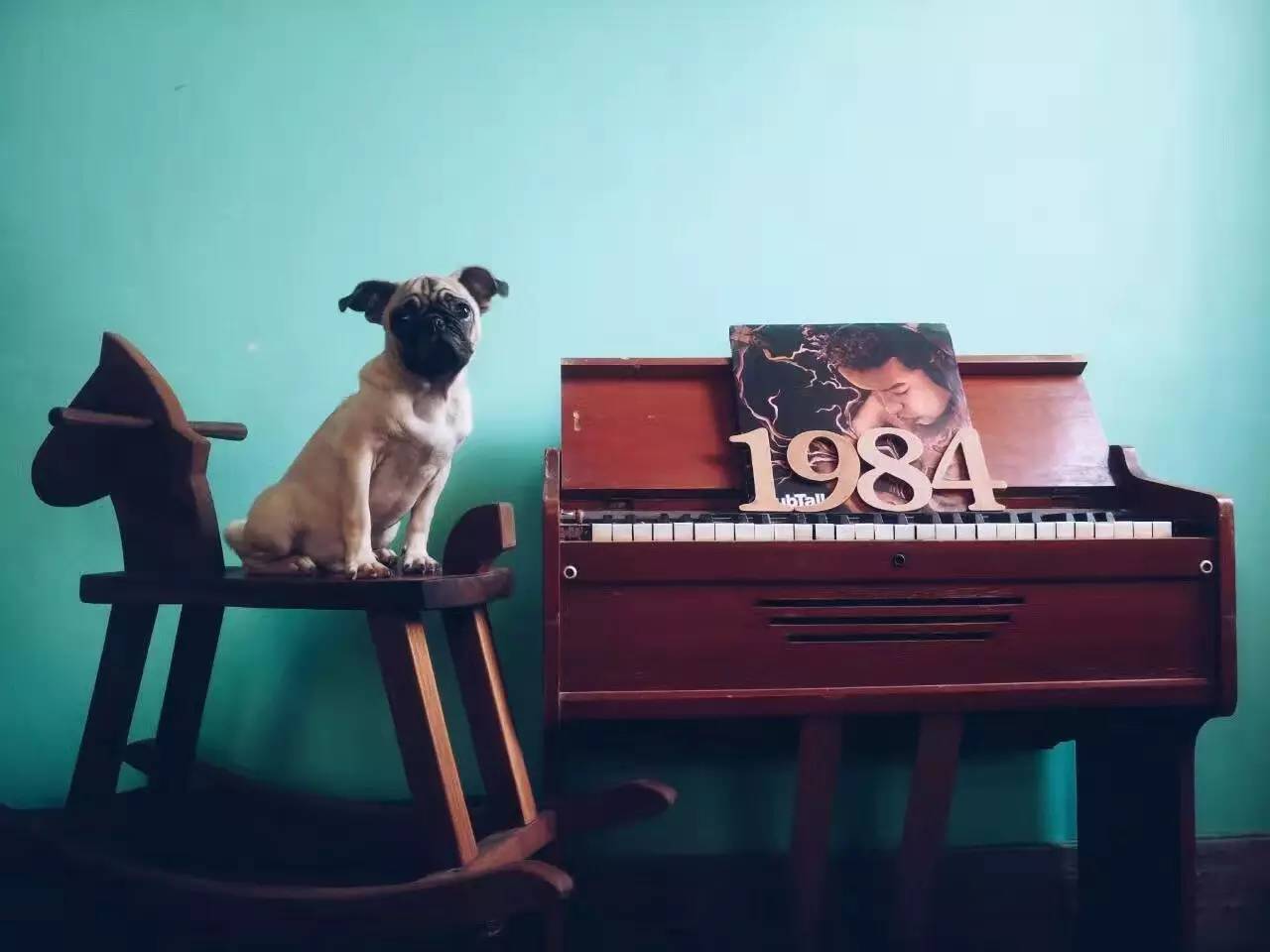 廣州覺(jué)園1984，來(lái)這里感受民國(guó)藝術(shù)的氣息