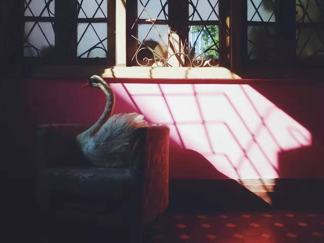 廣州覺(jué)園1984，來(lái)這里感受民國(guó)藝術(shù)的氣息