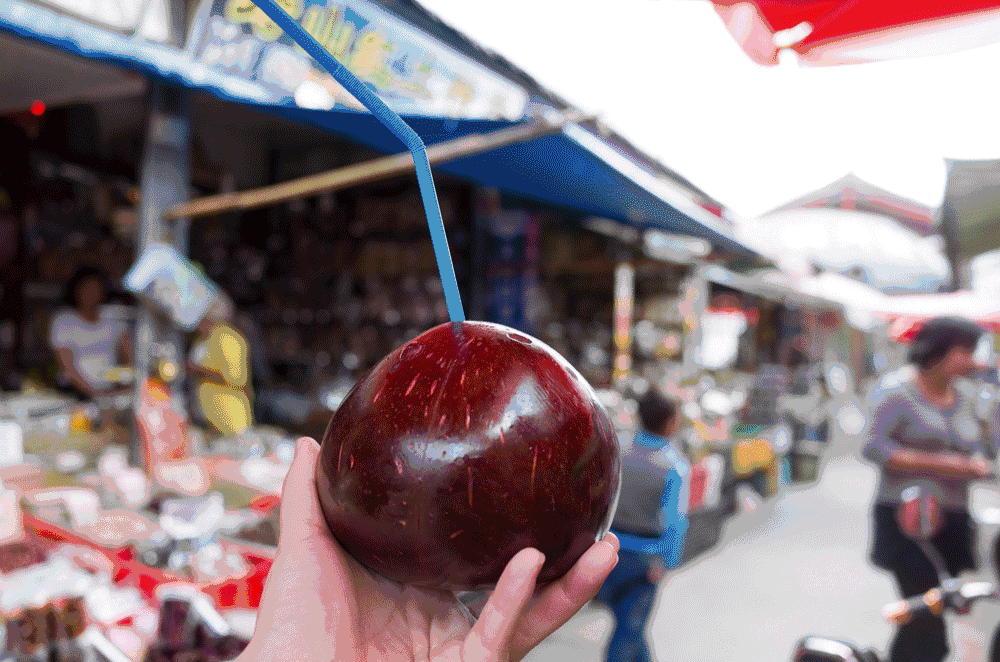 文殊·林舍，在麗江古城過(guò)著獨(dú)一無(wú)二的小日子