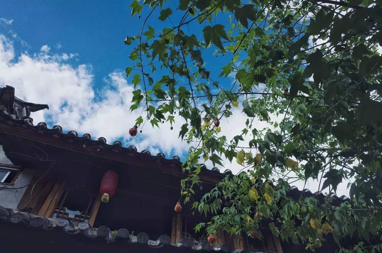 文殊·林舍，在麗江古城過(guò)著獨(dú)一無(wú)二的小日子