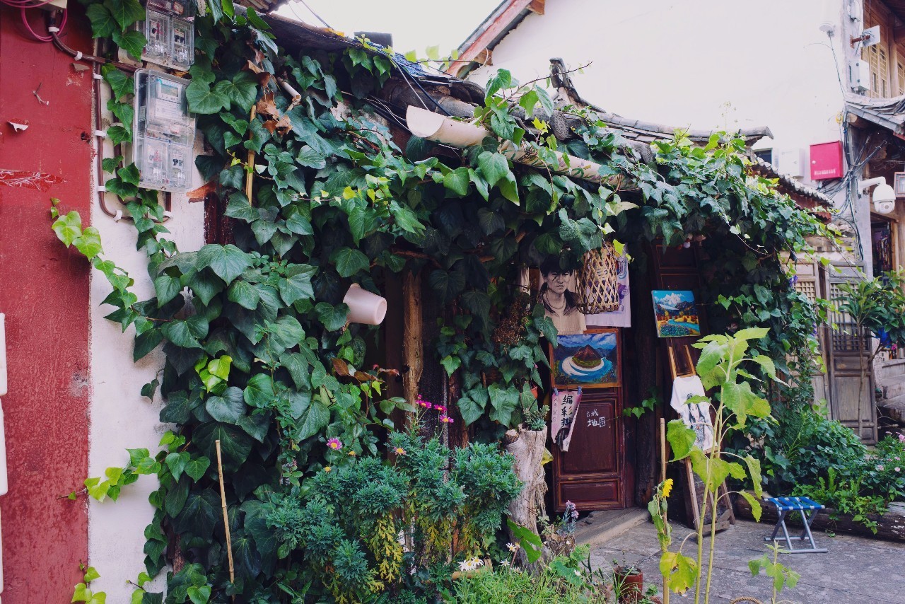 文殊·林舍，在麗江古城過著獨(dú)一無二的小日子