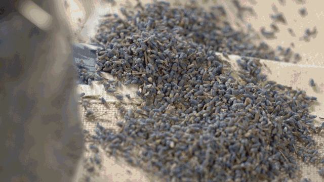 中國茶道禪茶館，茶乃人生樂事