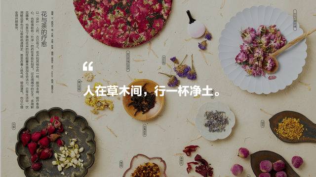 中國(guó)茶道禪茶館，茶乃人生樂(lè)事