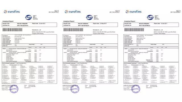 中國(guó)茶道禪茶館，茶乃人生樂事