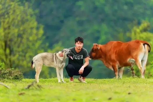 若丁山七號(hào)營(yíng)地，無(wú)數(shù)人向往的“星空露營(yíng)地”