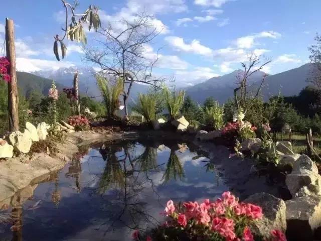 若丁山七號營地，無數人向往的“星空露營地”