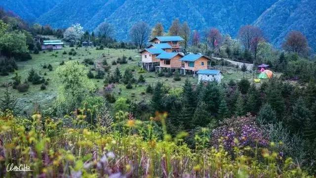 若丁山七號營地，無數人向往的“星空露營地”