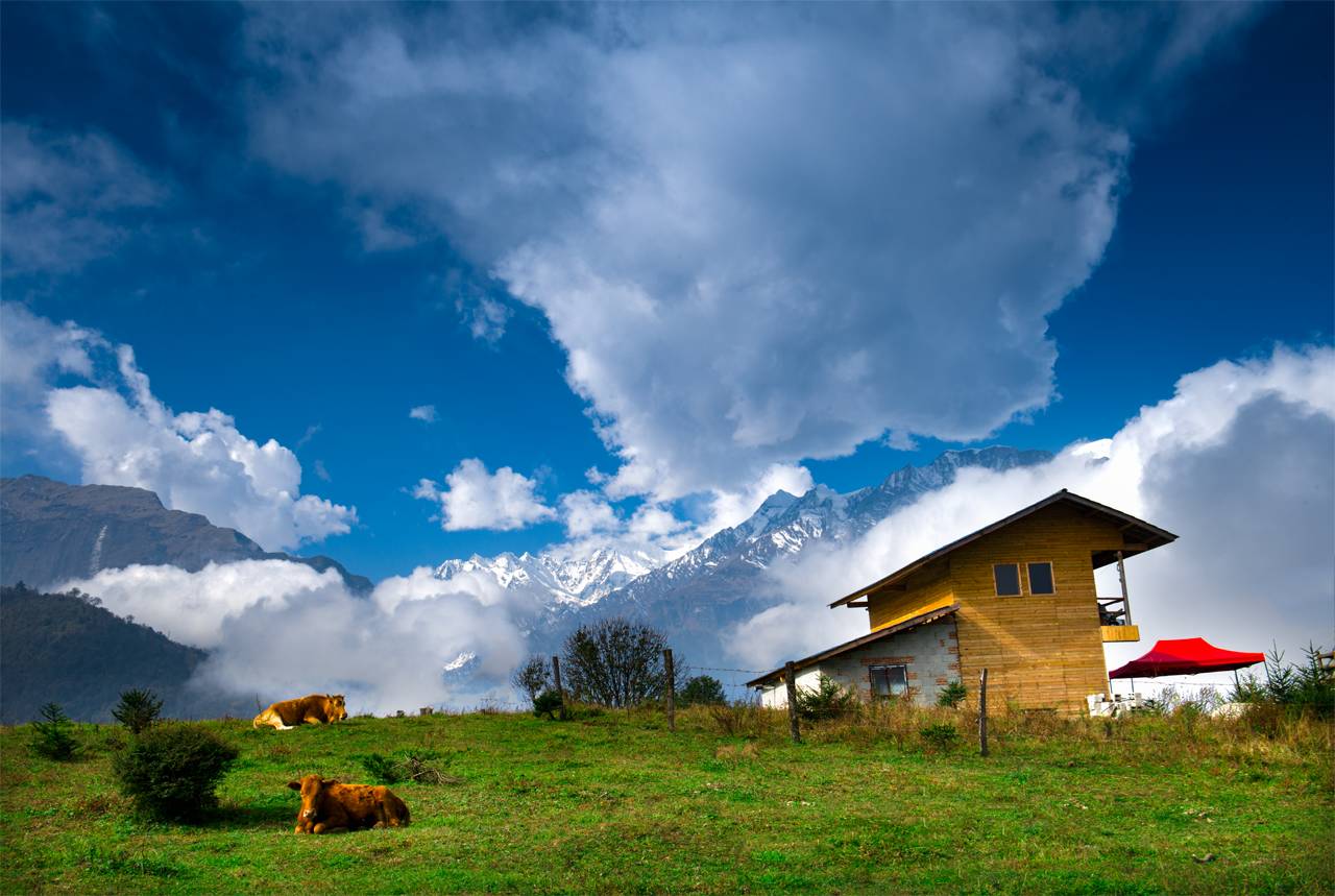 若丁山七號營地，無數人向往的“星空露營地”