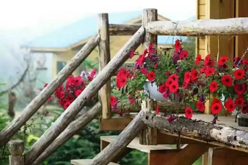 若丁山七號營地，無數(shù)人向往的“星空露營地”