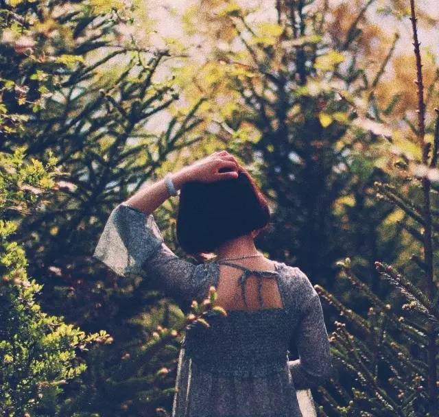 若丁山七號營地，無數(shù)人向往的“星空露營地”