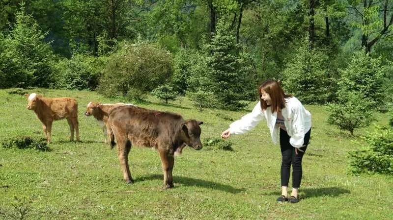 若丁山七號營地，無數(shù)人向往的“星空露營地”