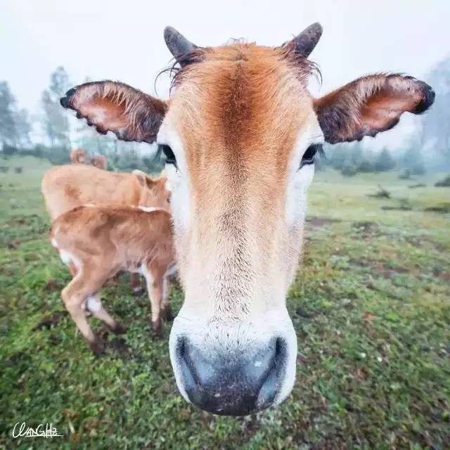 若丁山七號營地，無數(shù)人向往的“星空露營地”
