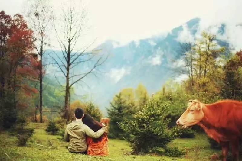 若丁山七號營地，無數(shù)人向往的“星空露營地”