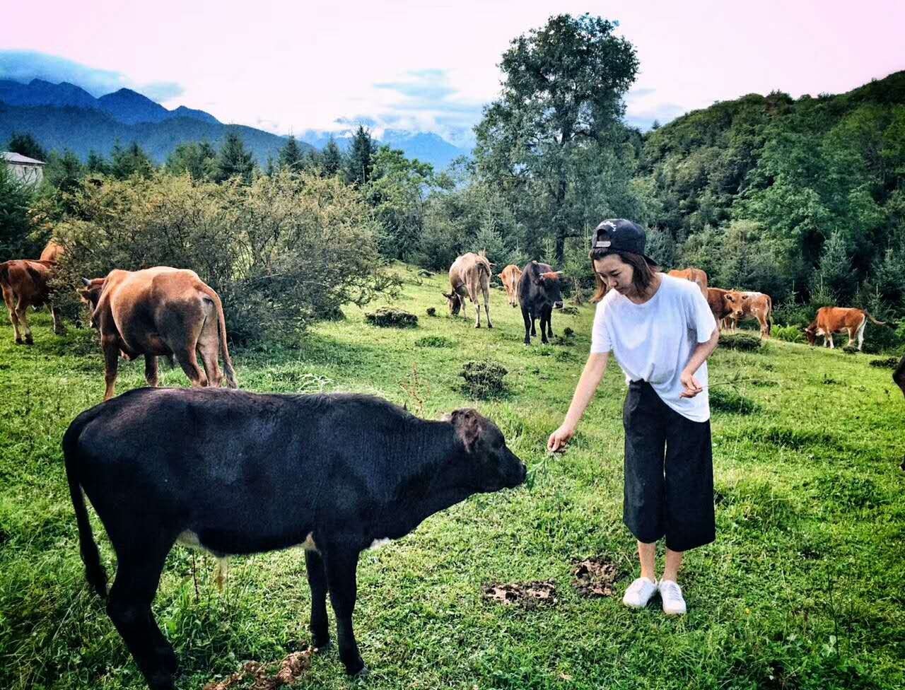 若丁山七號營地，無數(shù)人向往的“星空露營地”