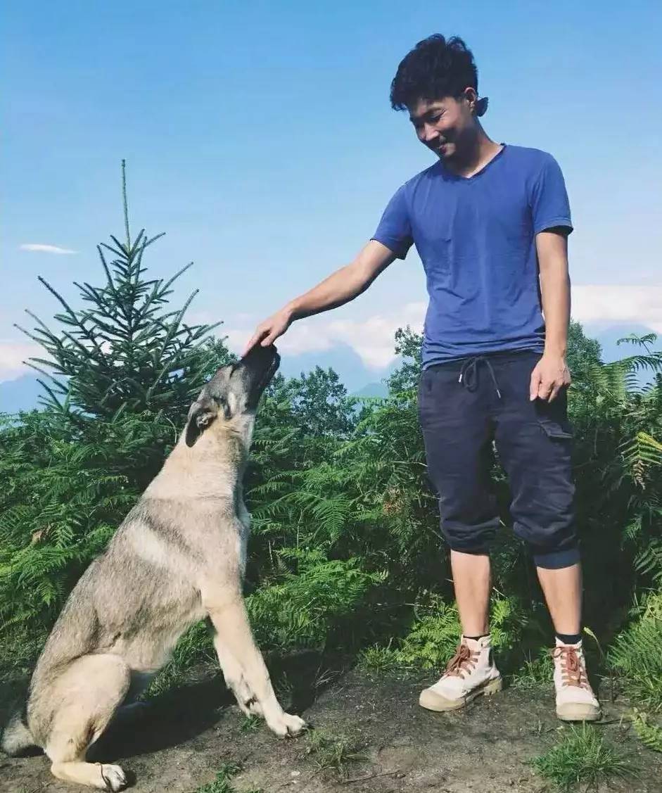 若丁山七號營地，無數(shù)人向往的“星空露營地”