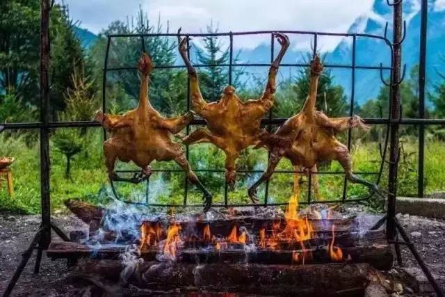 若丁山七號營地，無數(shù)人向往的“星空露營地”