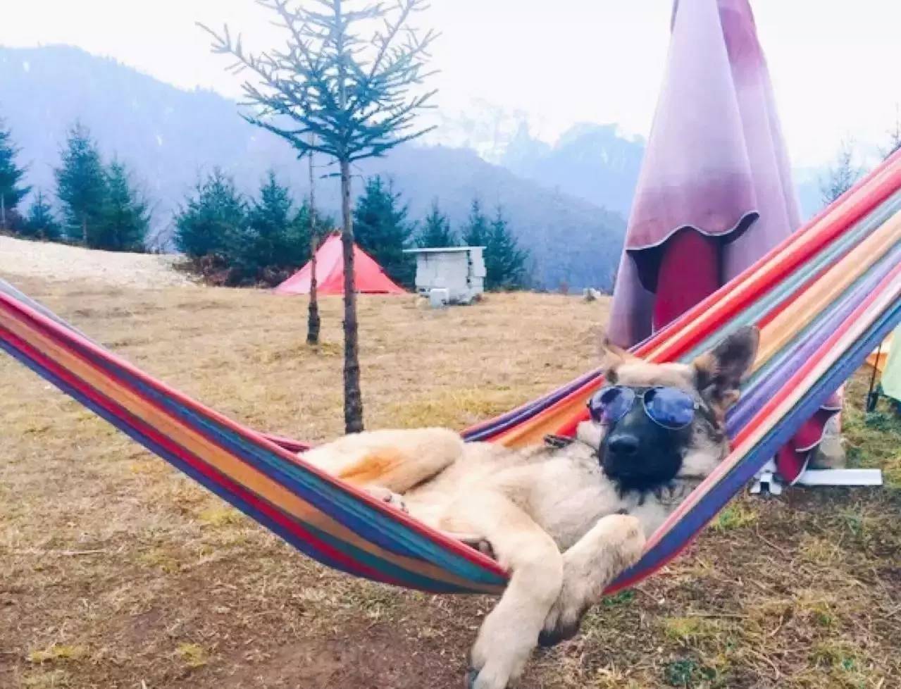 若丁山七號營地，無數(shù)人向往的“星空露營地”