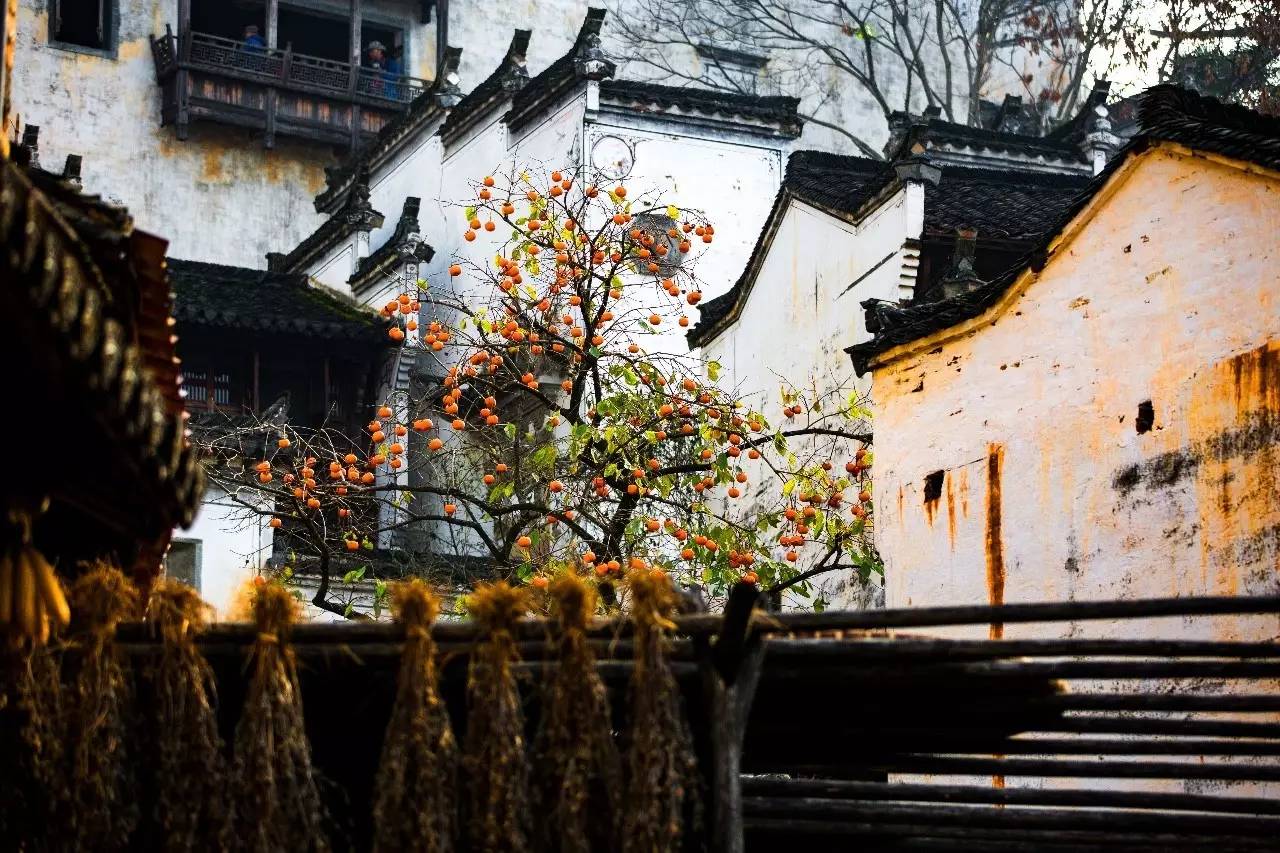 墅家墨娑西沖院，活了的老宅訴說舊日的時(shí)光