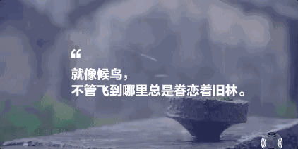 墅家墨娑西沖院，活了的老宅訴說舊日的時(shí)光