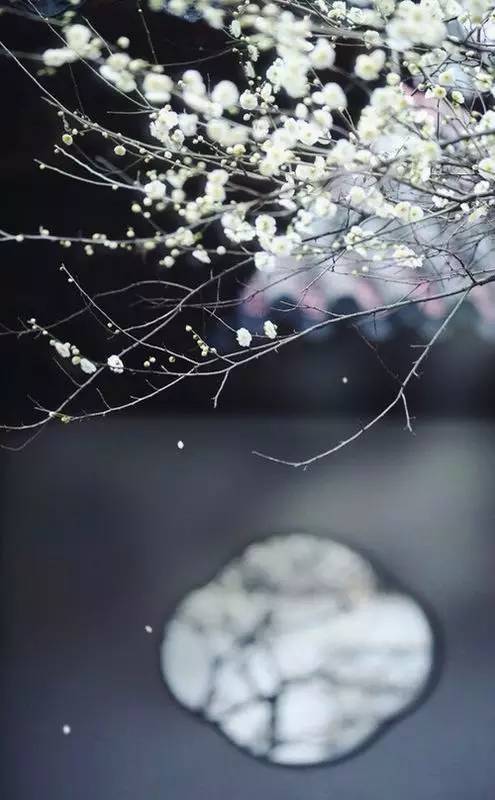 中式庭院設(shè)計(jì)，中國(guó)人內(nèi)心的歸屬